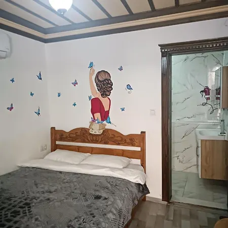 ホームステイ Sirince Larin セルチュク